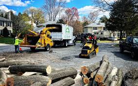 Best Artificial Turf Installation  in Salisbury, NY